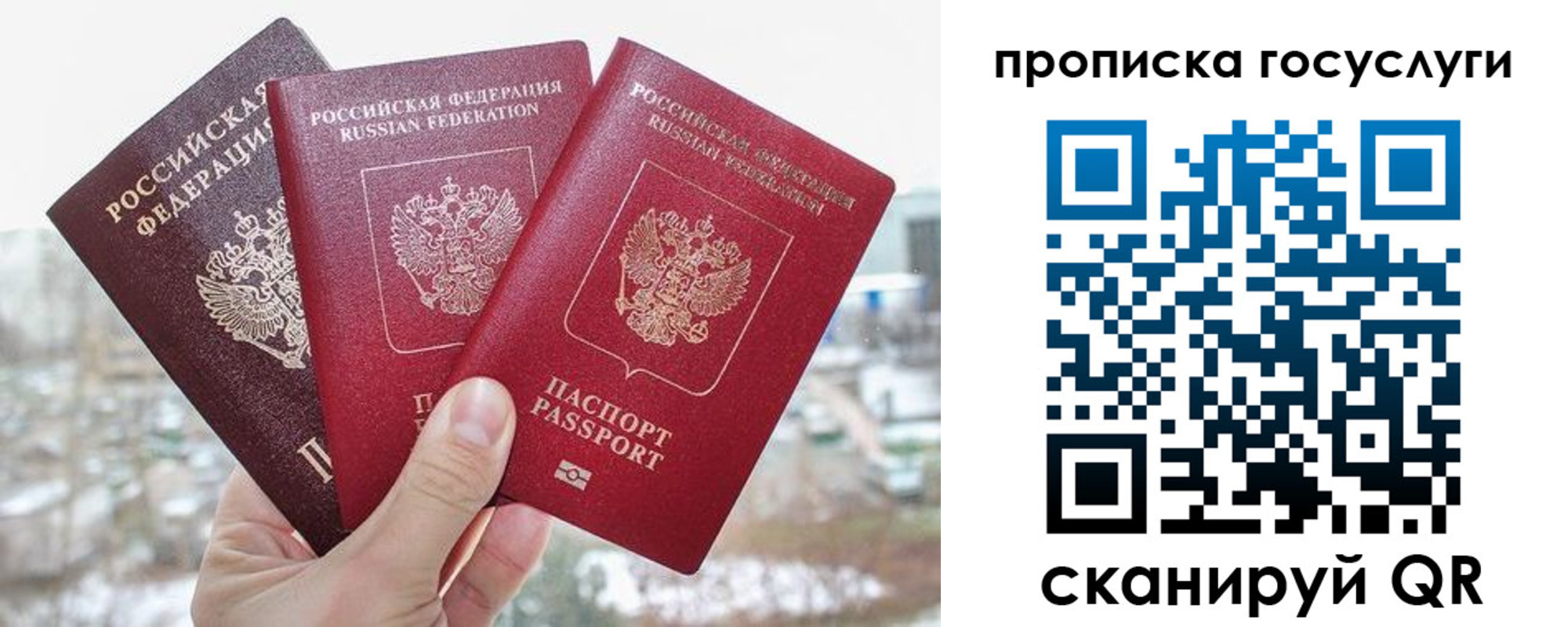 прописка законно в Карабаново